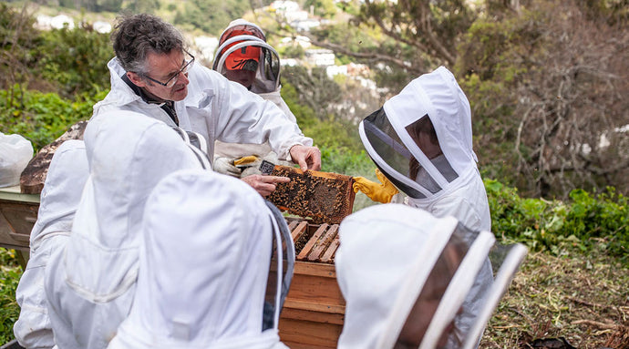 from hive, to garden to table: how we're supporting the trust's good work