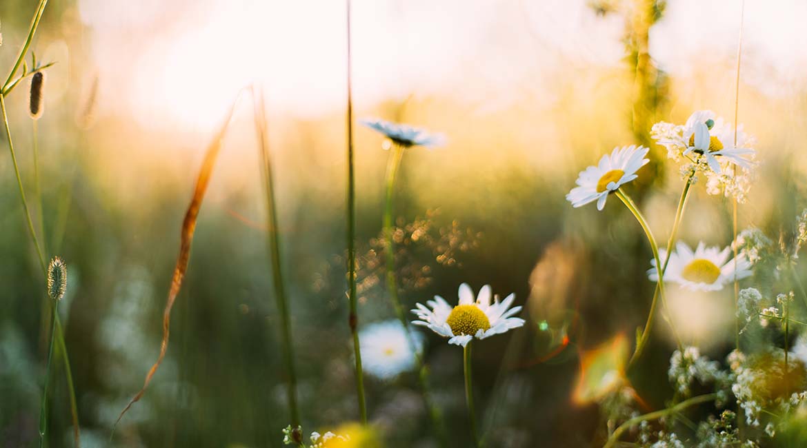 springing into action: September's beekeeping activity