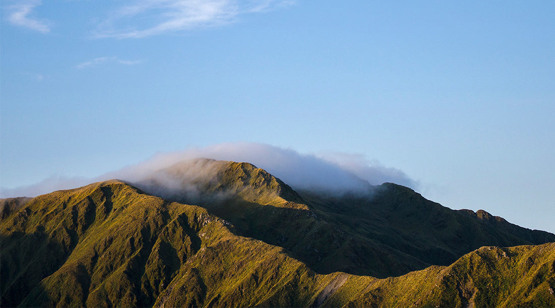 Tararua 